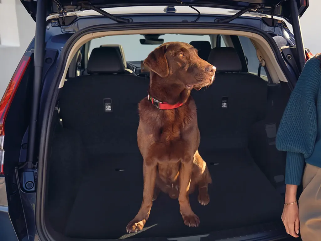 Двигатель и гибридные технологии