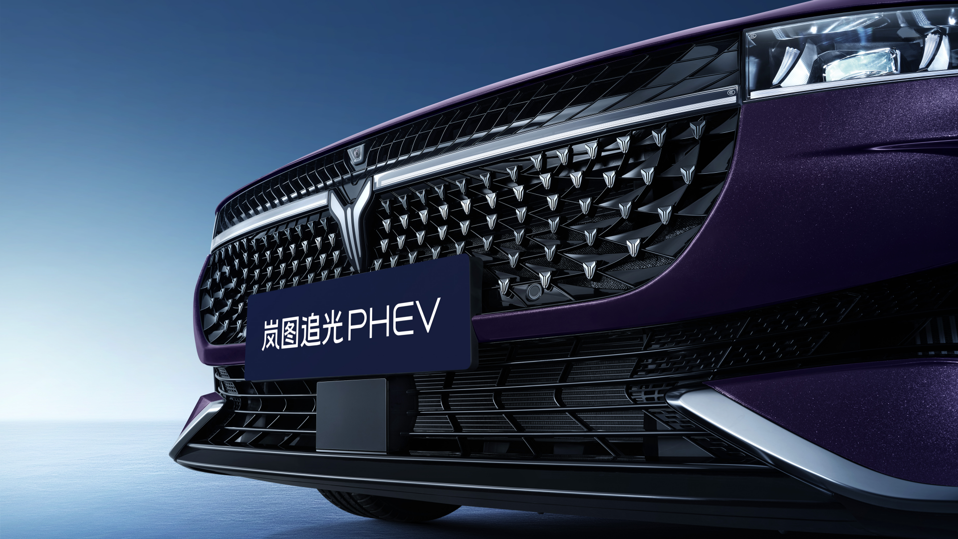 Воплощение изысканного вкуса в дизайне передней решетки