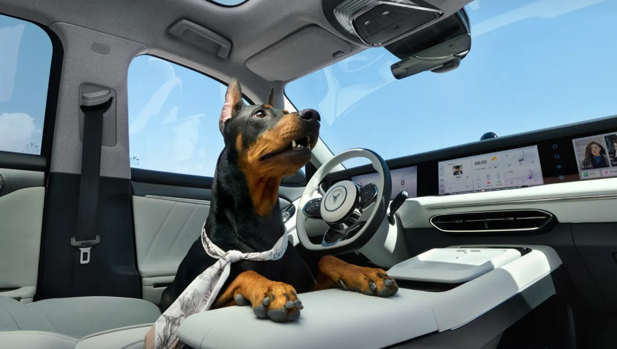 Заключение