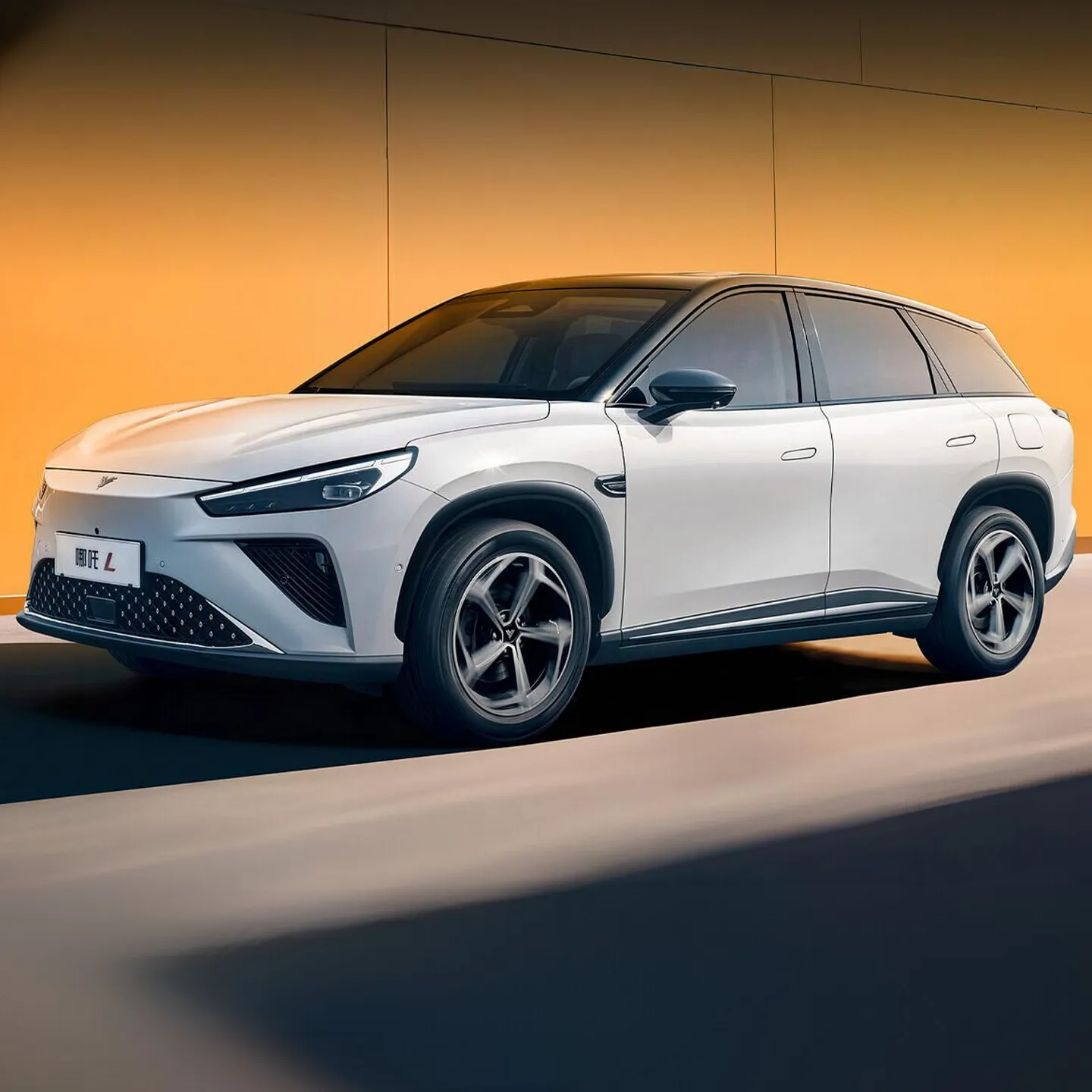 Neta L 310: купить гибридный кроссовер