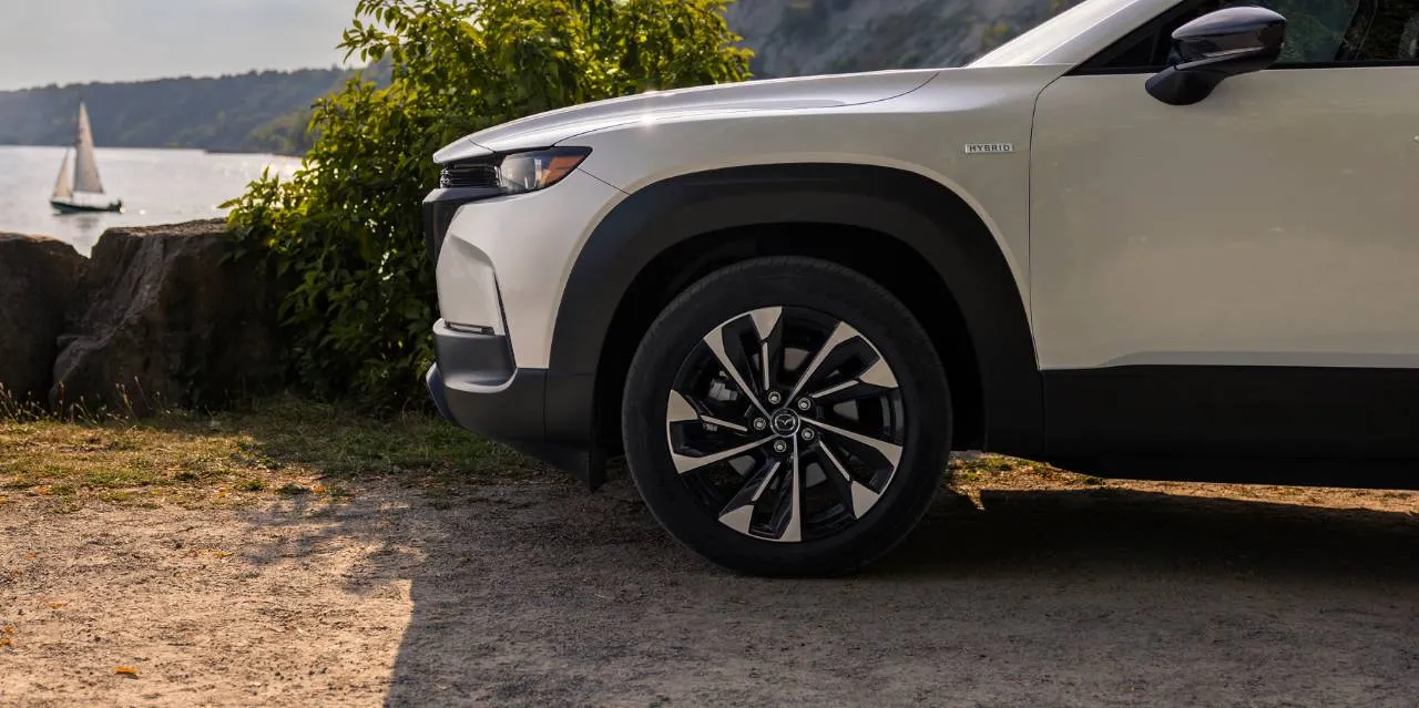 Безопасность и целевая аудитория