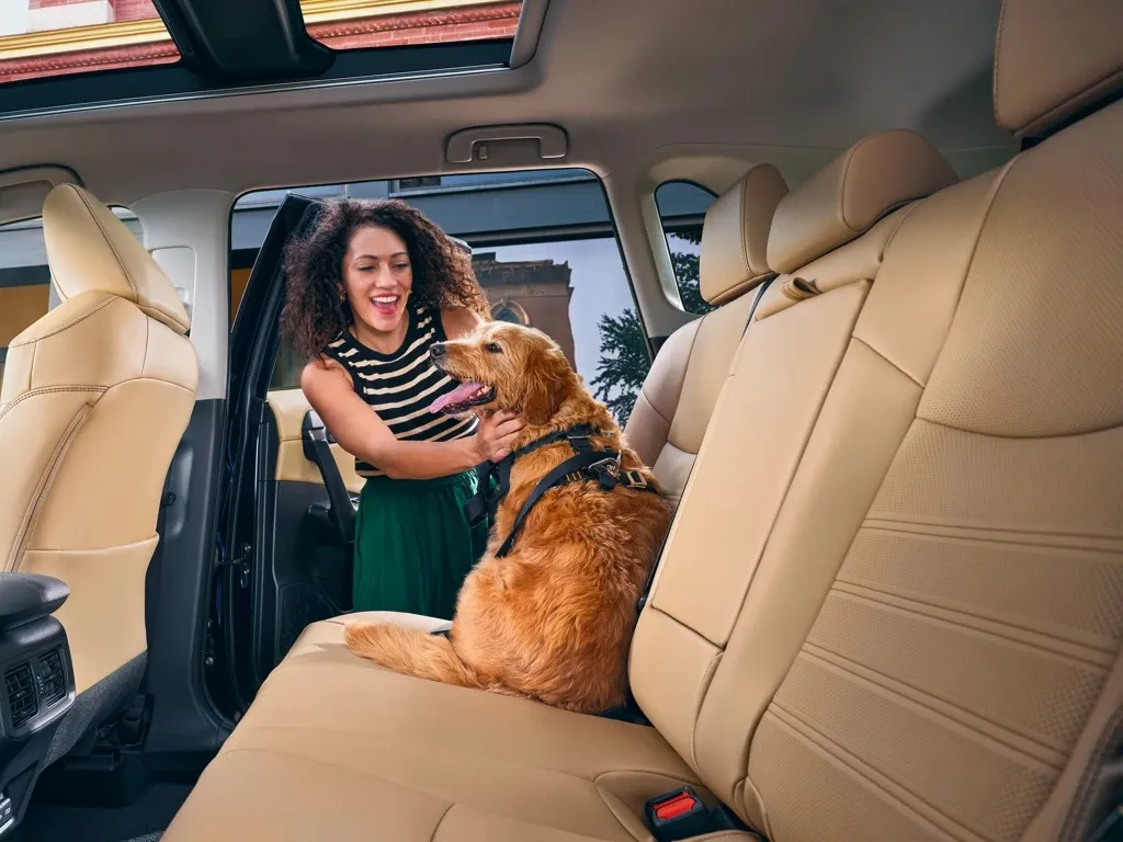 Дизайн и интерьер Toyota RAV4 CVT