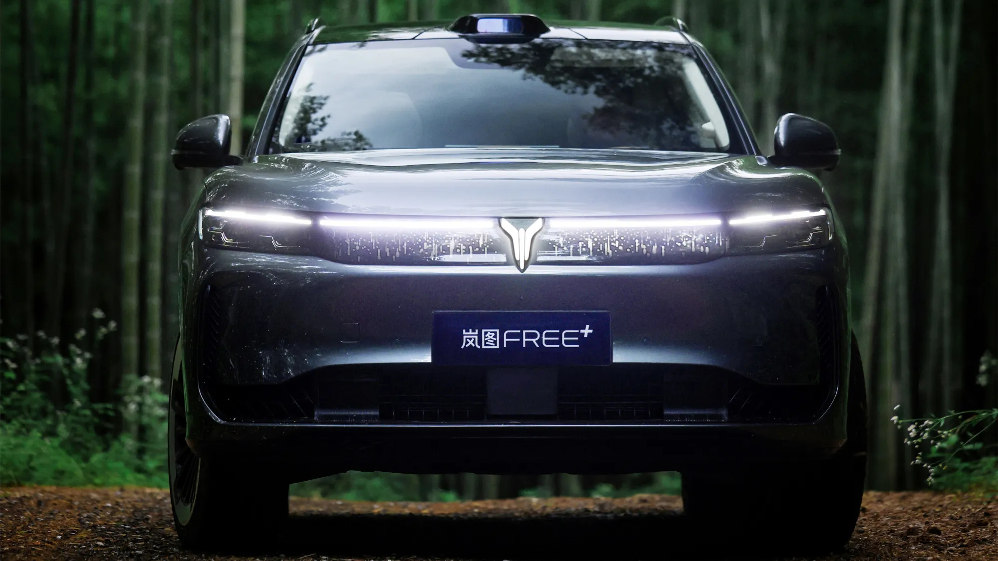 Voyah Free+: купить премиальный гибрид