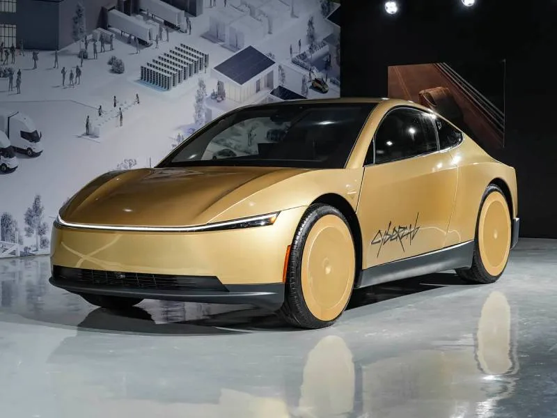 Котики стали преградой для полноценной работы роботакси Tesla