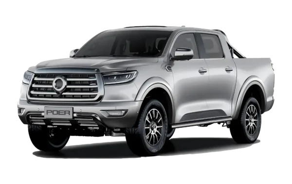 Great Wall Shanhai Poer