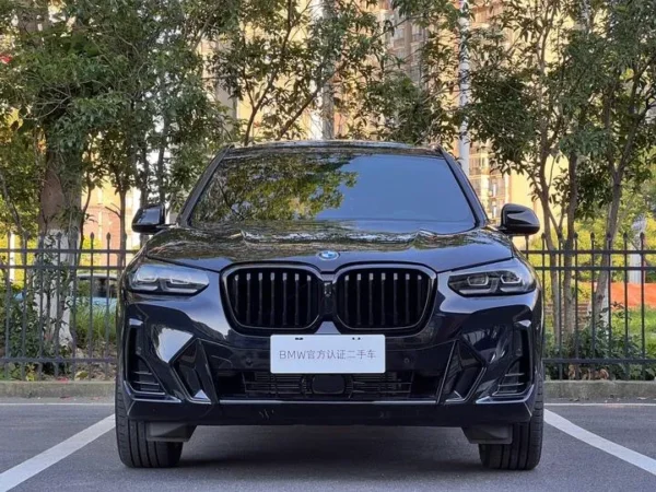 photo_1_2025-06-01_20-10-43 BMW X3