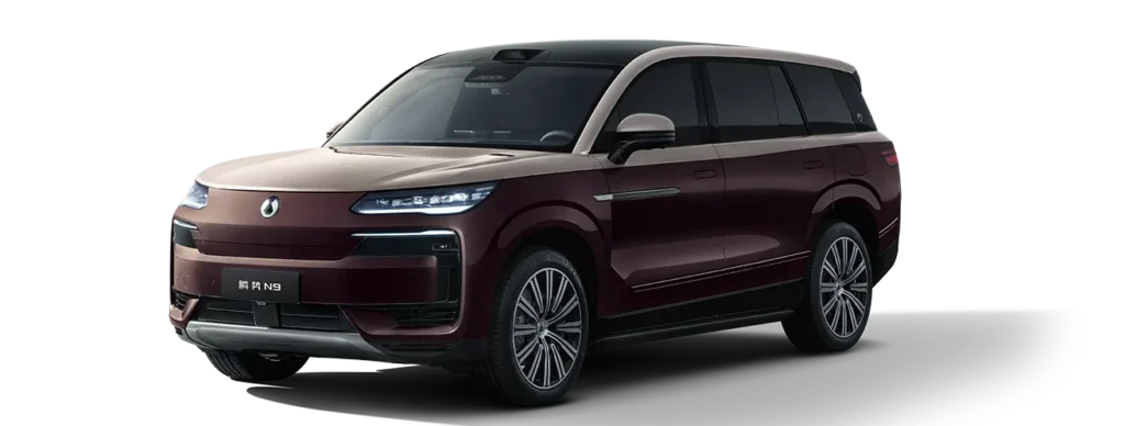 Denza N9