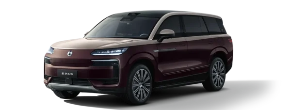 N9-pc-purplenew Denza N9